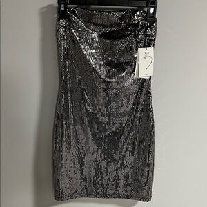 Iris Silver Sequin Body Mini strapless  Dress